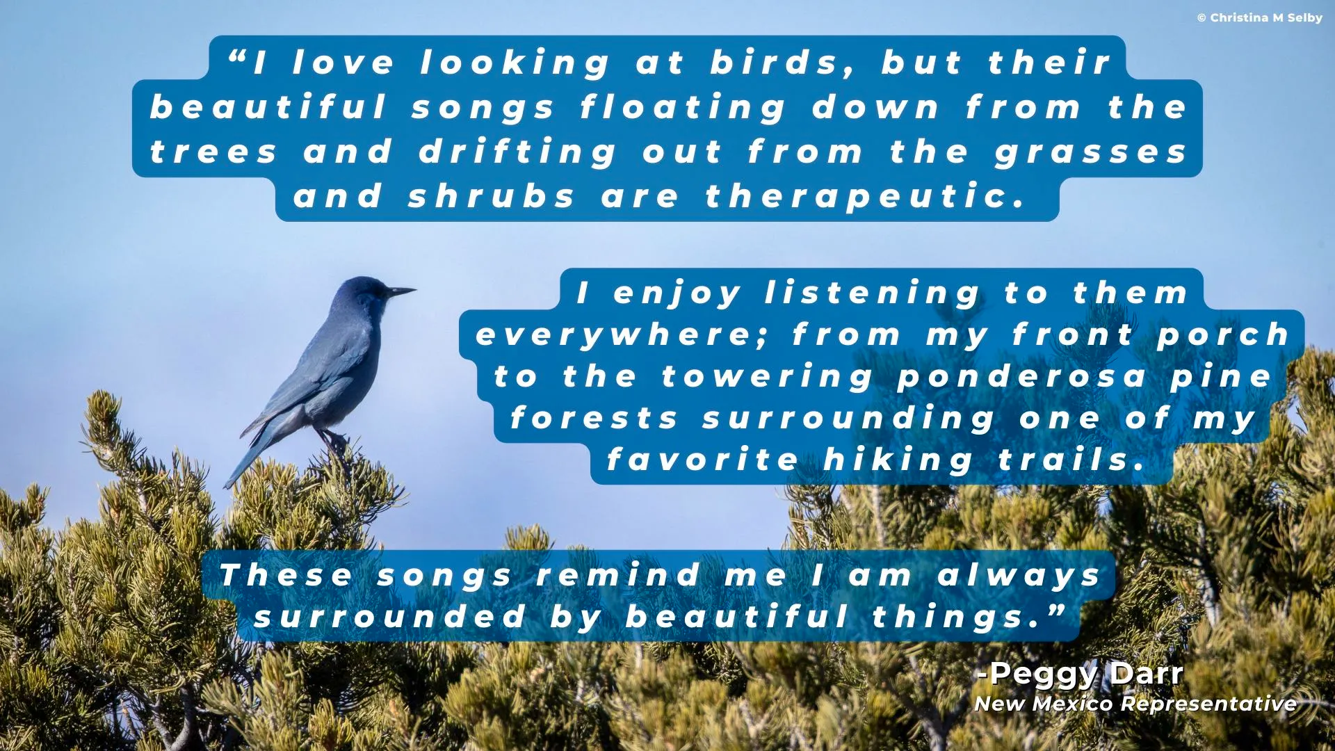 Reconnecting with Nature on Earth Day & Every Day | Defenders of